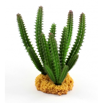 Roślina do terrarium EUPHORBIUM kaktus 14cm